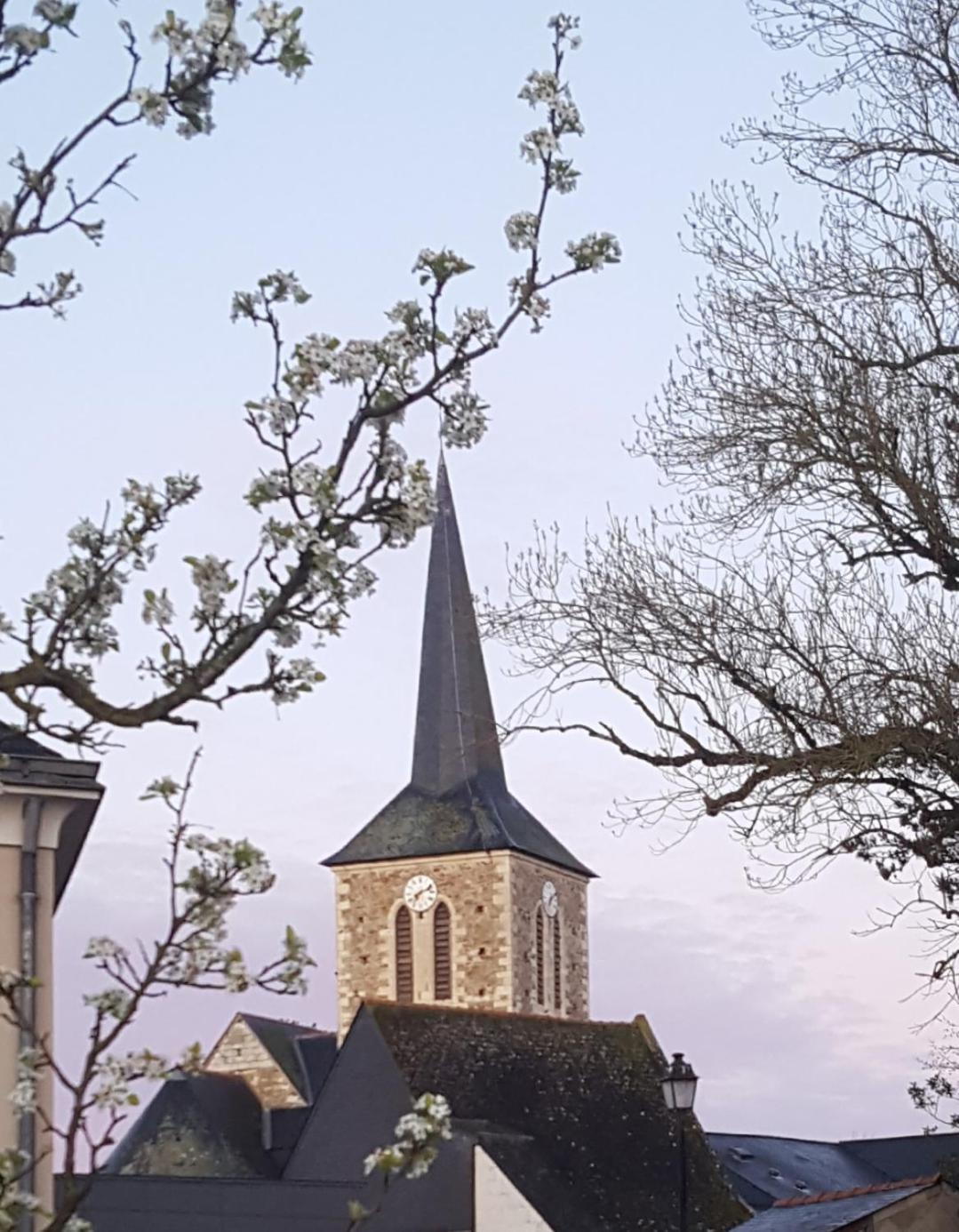 Gite Angers Proche Briollay Exterior foto